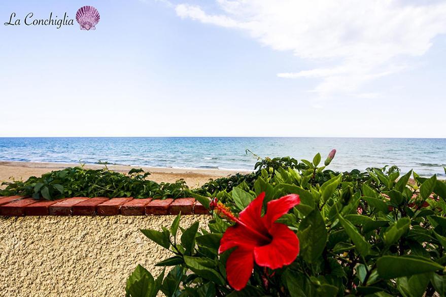 Casa La Conchiglia Sulla Spiaggia Lido di Noto Εξωτερικό φωτογραφία